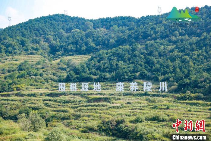 首届围棋起源地名人之家邀请赛晋城启幕 八位顶